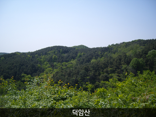 덕암산_15