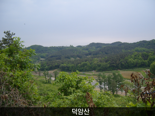 덕암산_5