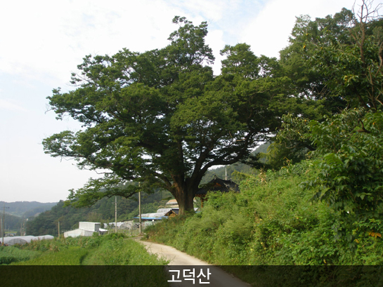 고덕산_5