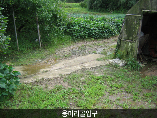 봉황산_1