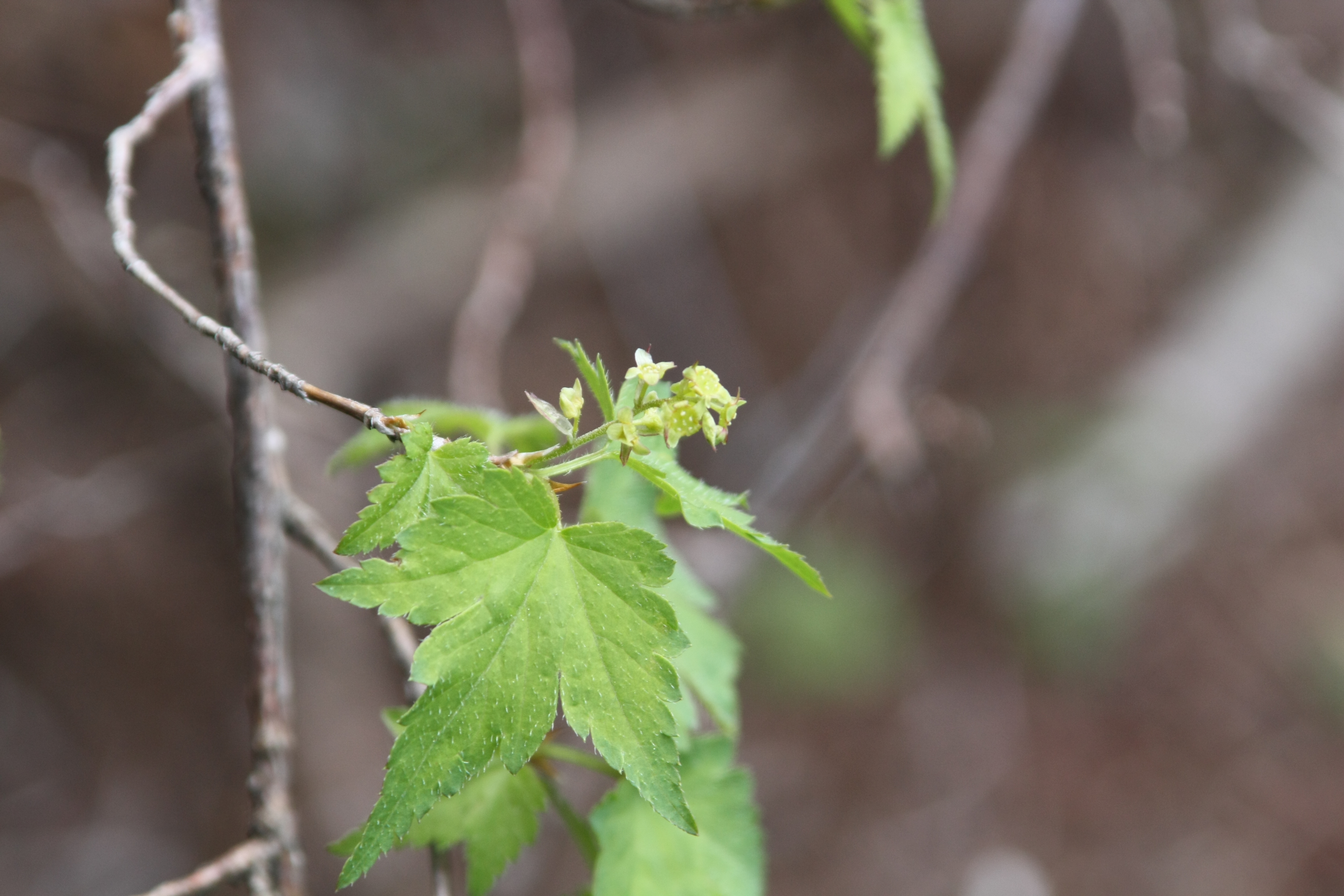 명자순 IMG_0324