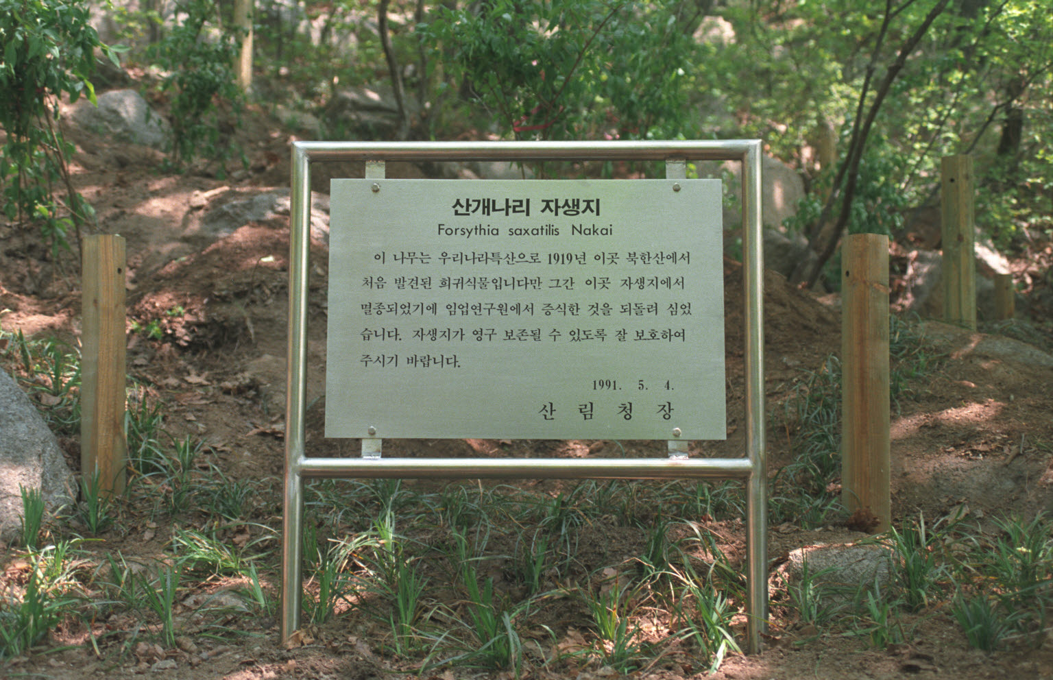 북한산 산개내리 복원