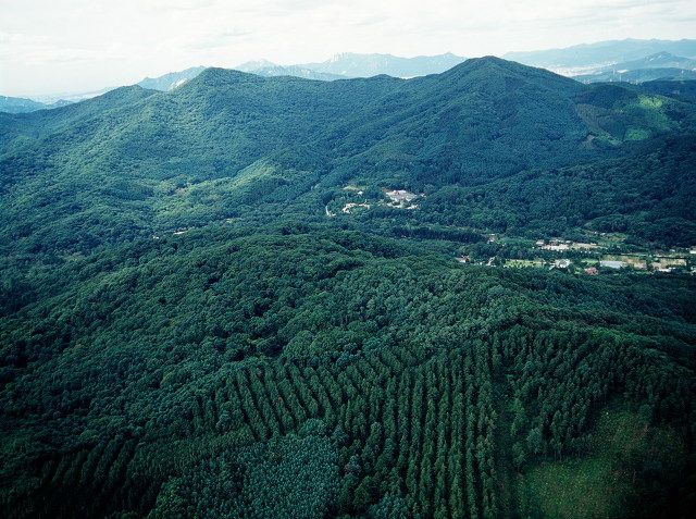 한국, 칠레와 산림협력 확대 MOU 이미지1