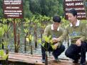 인도네시아에서 망그로브 숲 보전을 위한 나무심기