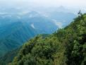 산림청, 100대 명산 및 등산로 정보 개방