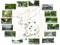 국립수목원, 5월 나들이하기 좋은 전국 가로수길 15선 추천