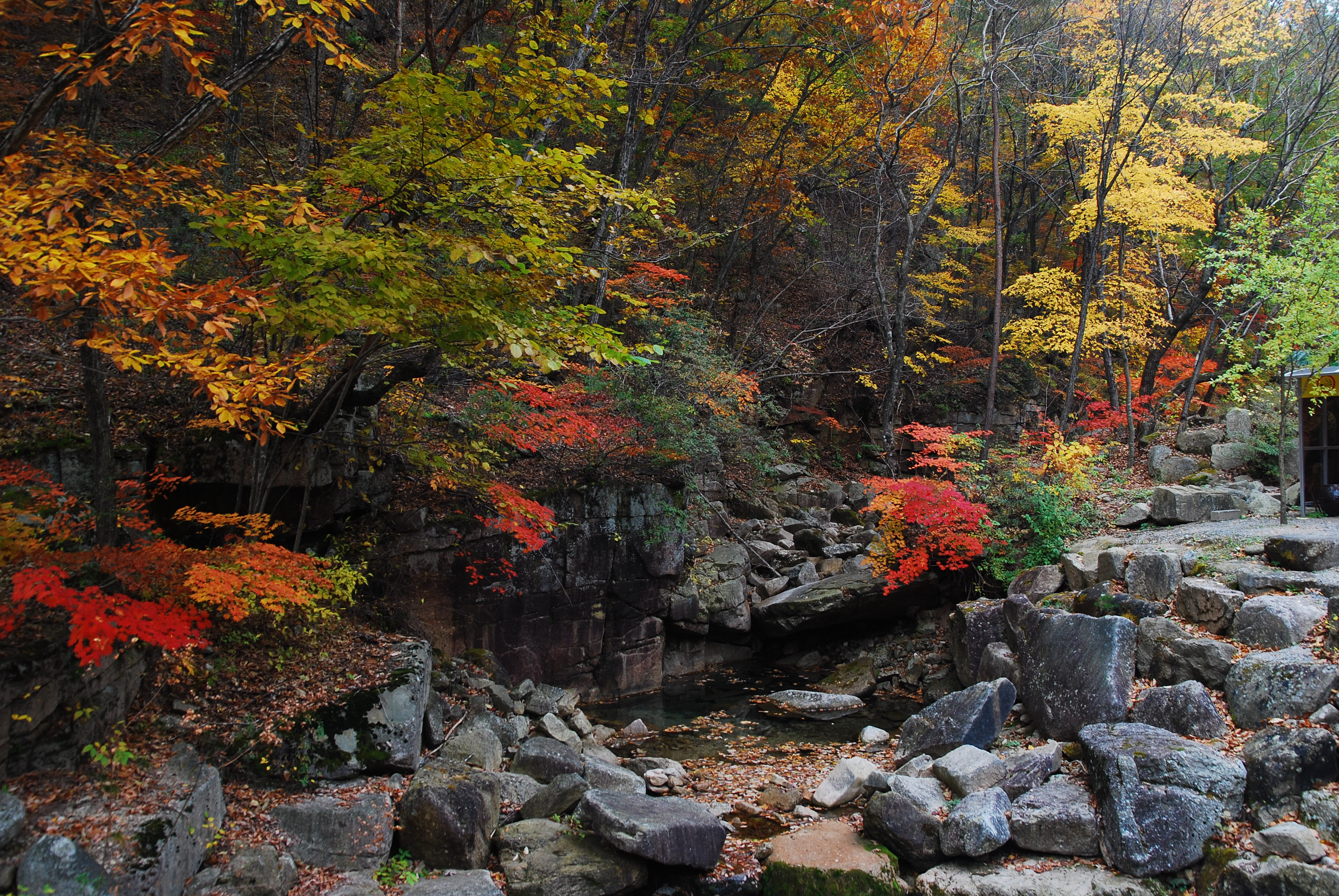 산림청, 10월 국유림 명품숲 ‘황정산 바위꽃 숲’ 선정 이미지1