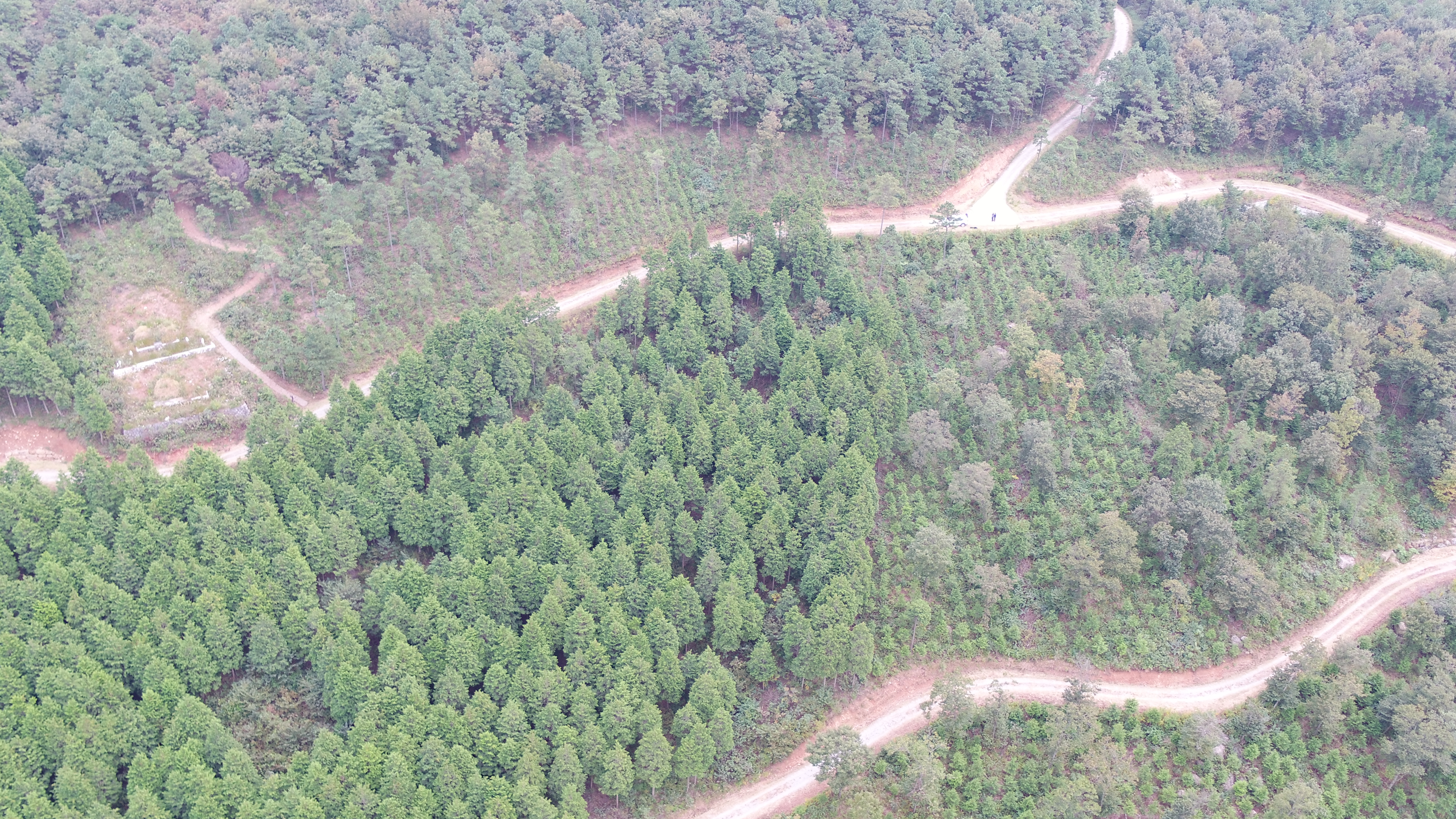 산림청, 3가지 유형의 선도 산림경영단지 경영모델 마련 이미지1