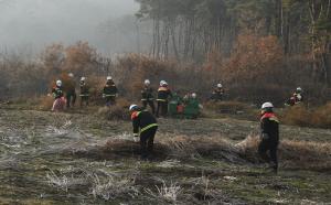 산림청, 농산촌 불법소각 예방을 위해 농업 잔재물 등 중점 수거