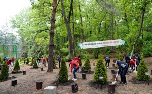 산림청 연예인 홍보대사들과 함께하는 2050 탄소중립 나무심기 행사 개최