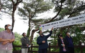 산림청, 서울 남산 소나무 산림 문화적 가치와 생태적 관리방안 논의