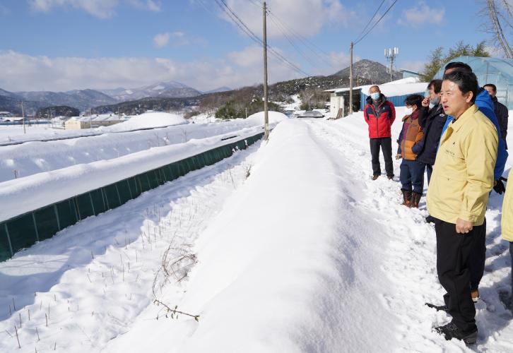 남성현 산림청장, 순창군 폭설 피해 임가 현장 점검