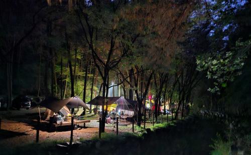 캠핑의 계절, 텐트 밖은 온통 숲!