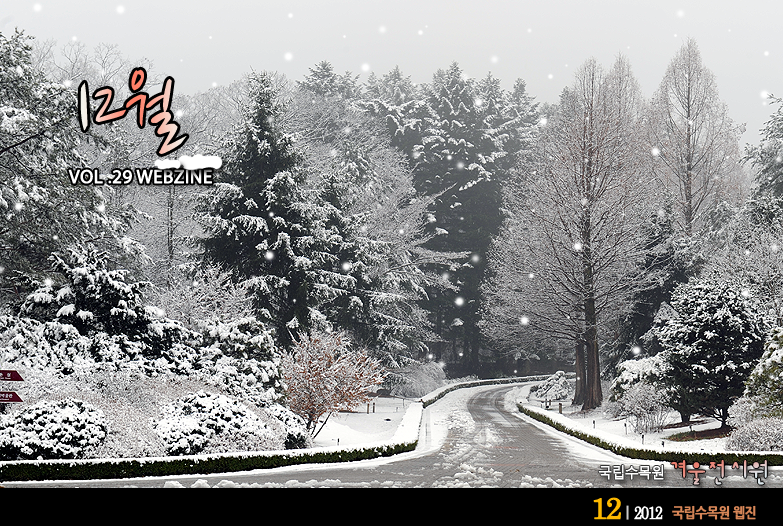 12월 VOL.29 WEBZINE 
국립수목원 겨울전시원
2012.12 국립수목원 웹진 