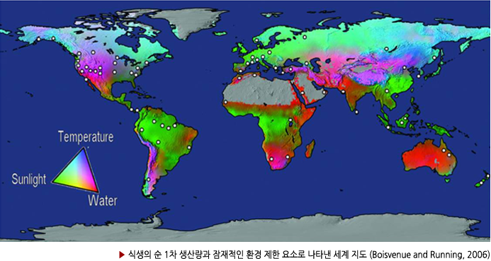 ▶ 식생의 순 1차 생산량과 잠재적인 환경 제한 요소로 나타낸 세계 지도 (Boisvenue and Running, 2006) 