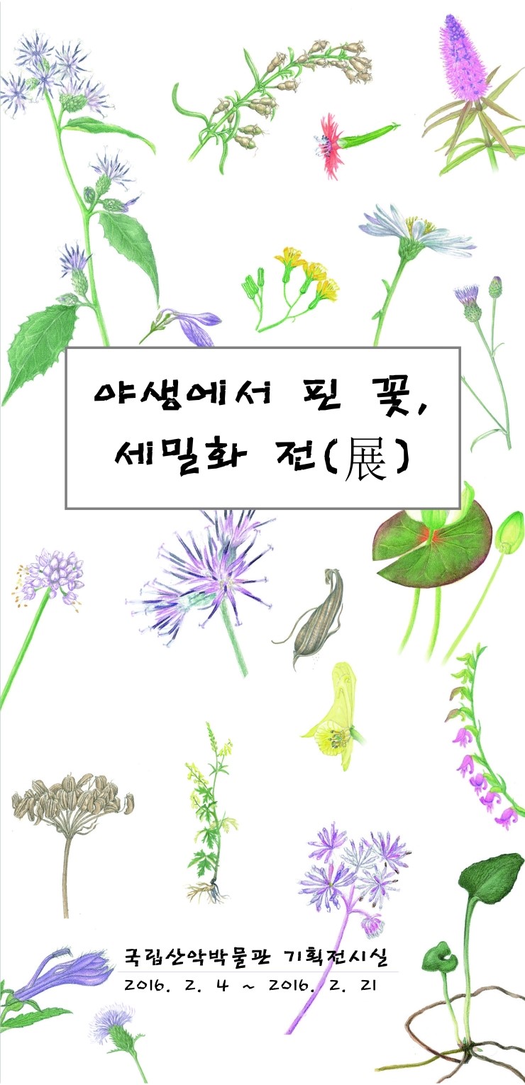 야생에서 핀 꽃, 세밀화 전(展) 이미지1