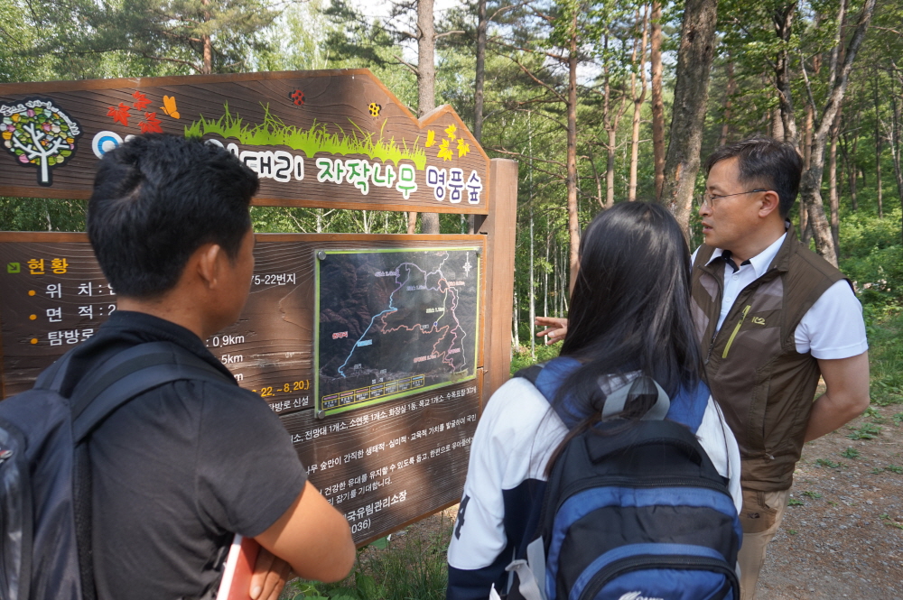 한국의 산림종자 관리기술 놀라워요! 이미지3