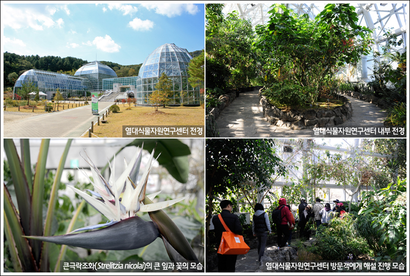 국립수목원, 열대식물자원연구센터 2월 2일부터 개방 시작해 이미지1