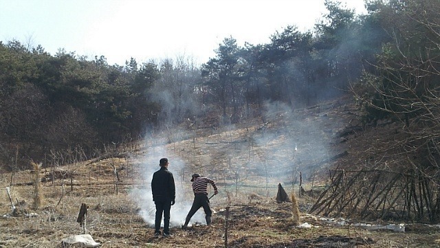 산림청 직원들, 주말 반납... 특별 기동단속 강화 이미지1