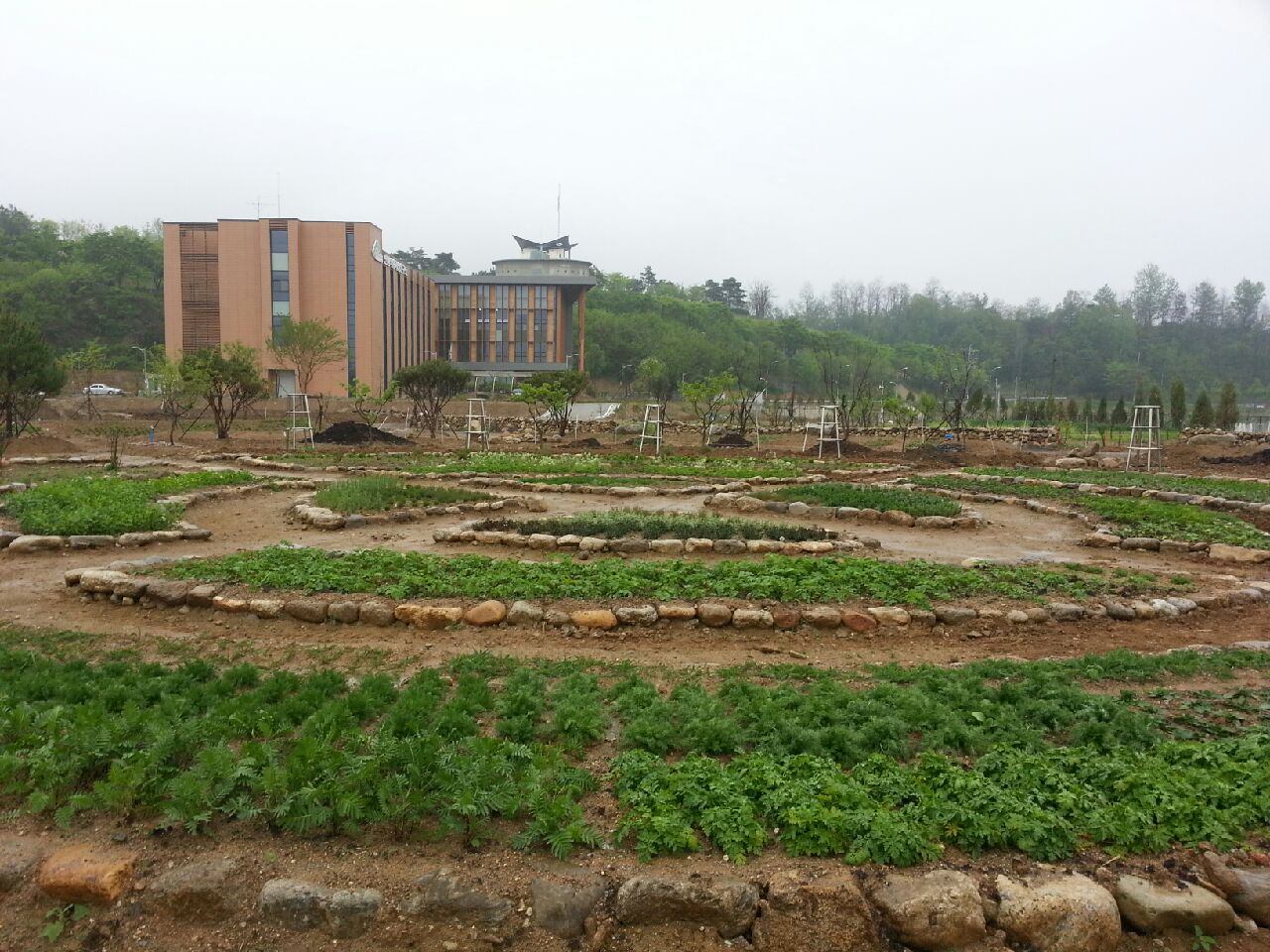 산림약용자원 산업화 선도할 국립연구기관 문 열다 이미지3