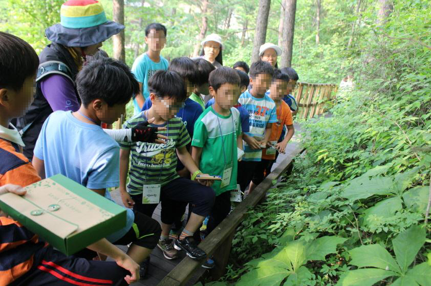 산림치유 프로그램, 보호아동 정서 개선에 효과 이미지1