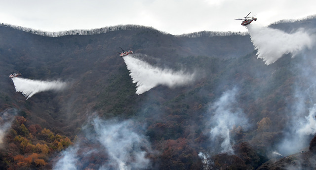 산림청, 주말 고온 건조로 전국 산불 11건 발생 이미지1