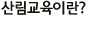 긲̶?