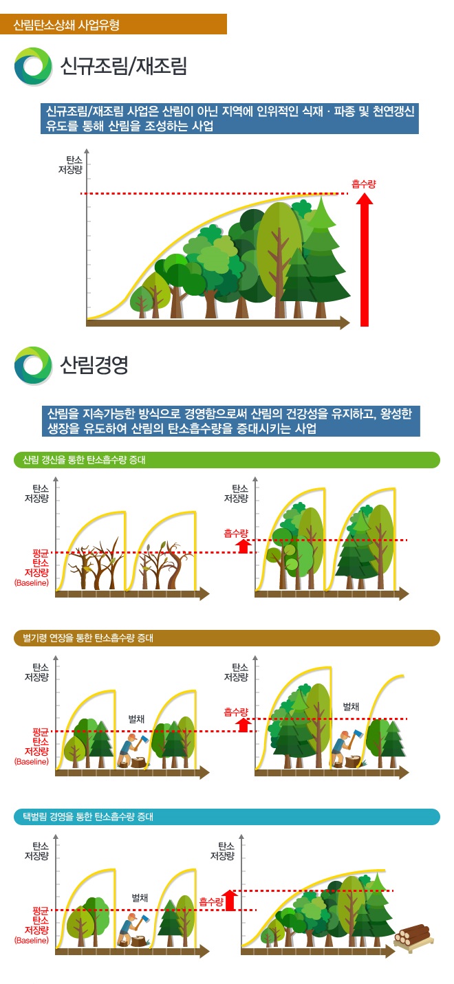 산림탄소상쇄 사업유형 신규조림/재조림을 수행하여 흡수량을 상승시킵니다.산림경영은 산림 갱신을 통하여 탄소흡수량을 증진시키는 것으로, 평균 탄소 저장량(Baseline)에서 흡수량이 증진되는 것을 볼 수 있습니다.벌기령을 연장하면 탄소흡수량이 증대되며, 택벌림을 경영하면 탄소흡수량이 더욱 증대됩니다.