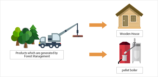 Hybrid Business explores different ways of using energy from products through Afforestation, such as forest biomass energy or wood products by harvesting forest trees.