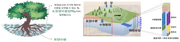 산림물지도는 산림토양공극의 크기에 따라서 수분을 보유할 수 있는 힘, 즉 토양수분장력이 달라지고 최대 토양수분함량이 결정되므로 이를 이용하여 산림의 토양, 모암, 지형, 임분의 특성별로 토양수분 보유특성을 예측하여 수원함양 기능을 동적으로 평가