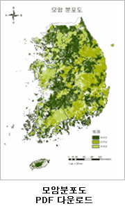 모암분포도 PDF다운로드