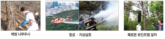 왼쪽부터 예방나무주사,항공·지상살포,페로몬 유인트랩 설치