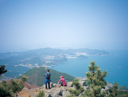 대금산