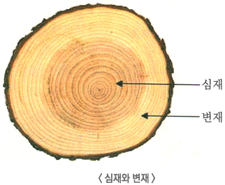 제일목재 이미지