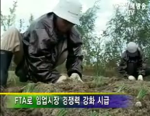 경제 살리는 산림행정(KTV)