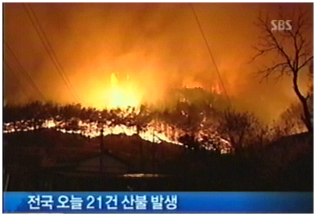 곳곳 산불, 오늘만 21건(SBS)