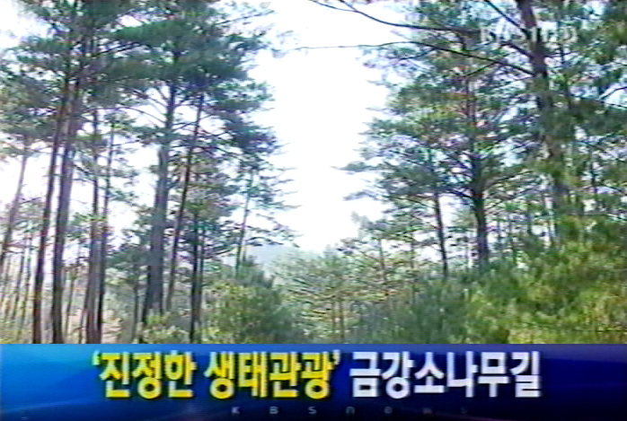 ‘진정한 생태관광’ 금강소나무길(KBS1)