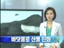 산불 초기진화에 바닷물 이용(KBS 뉴스광장, 강릉, 춘천)