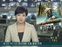 숲 가꾸기 달(KBS1 TV)