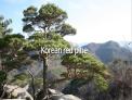 소나무의 광복선언 - 광복70주년 기념 식물주권찾기