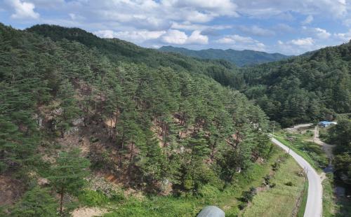 울진국유림관리소, 2025년 숲가꾸기 우수 사업지 &#39;우수&#39; 선정