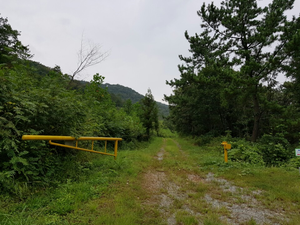 산림청 양산국유림관리소, 추석 명절 전후 국유임도 임시 개방