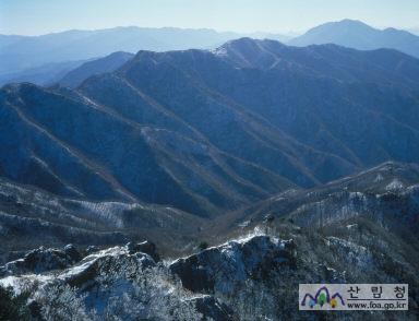 민주지산의 겨울