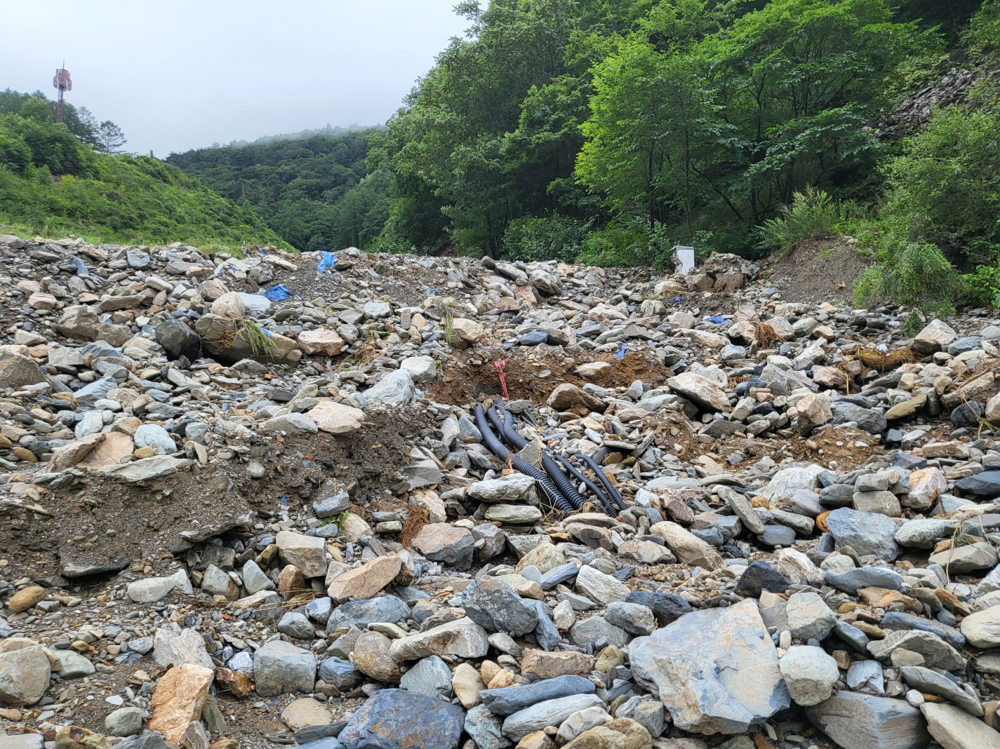 남성현 산림청장, 가리왕산 산사태 피해지 현장 점검 나서 이미지7
