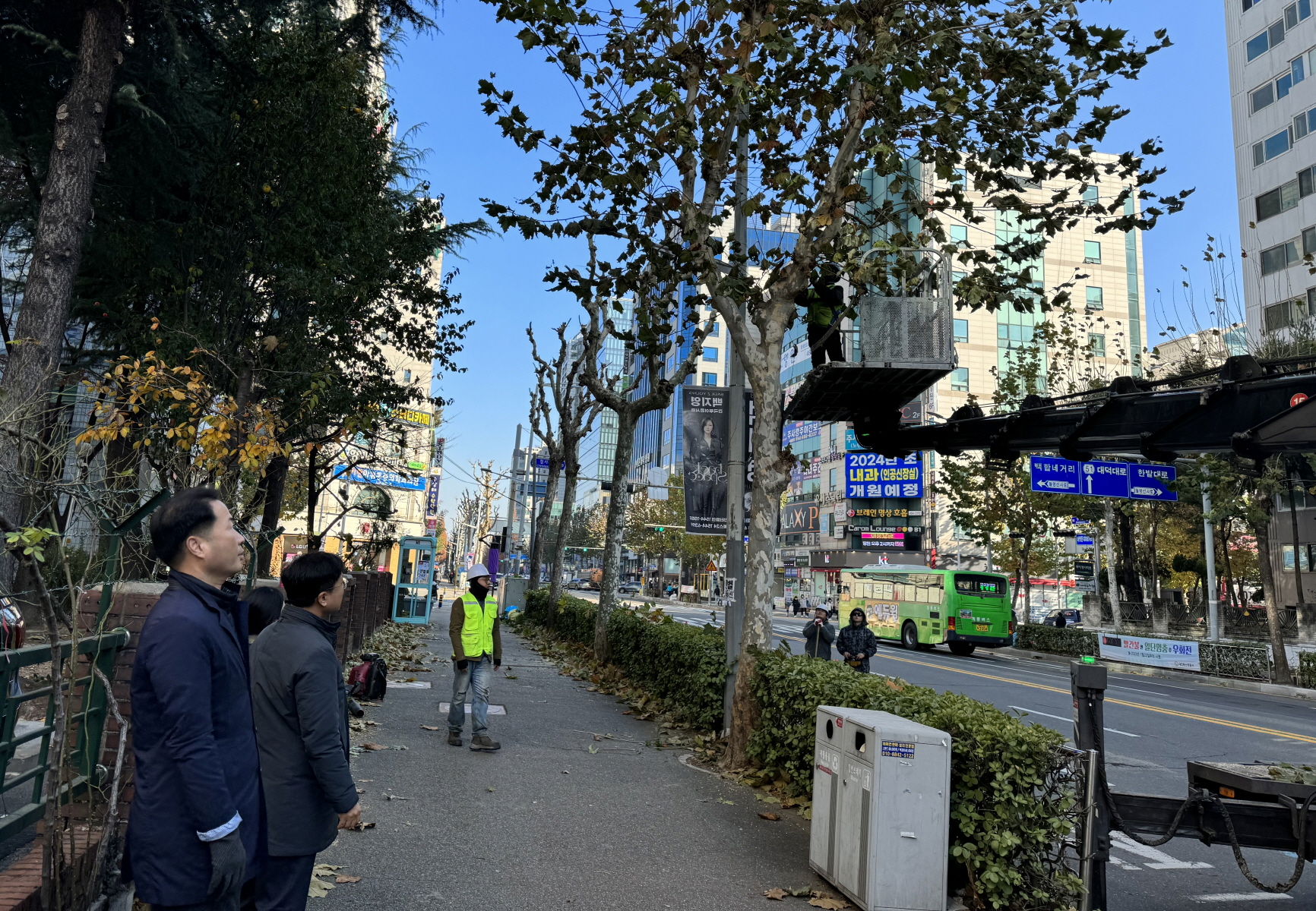 겨울철 가로수 관리, 현장 점검과 소통 강화 이미지2