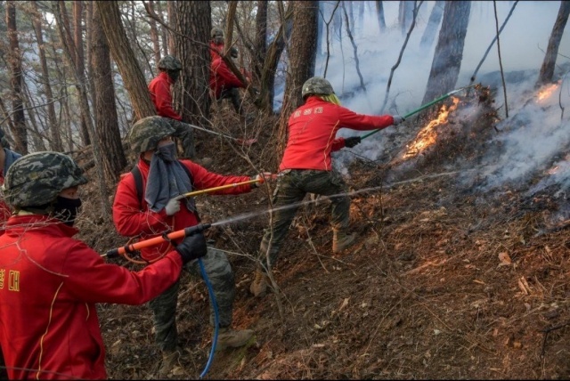 산불진화 군(軍) 지원 병력 안전관리 강화 이미지1