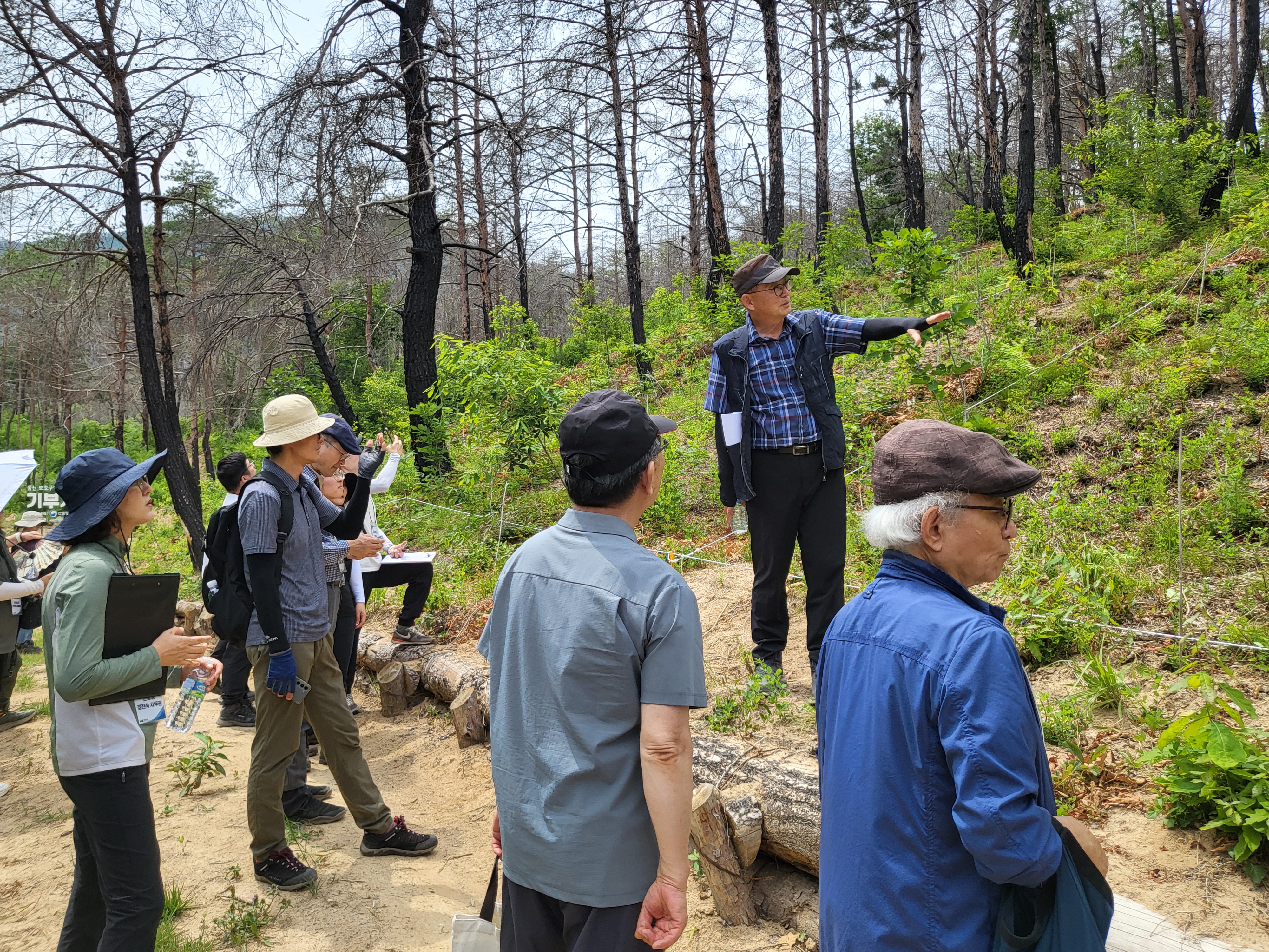 울진 산불피해지 ‘기부의 숲’ 산림생태복원 박차 이미지2