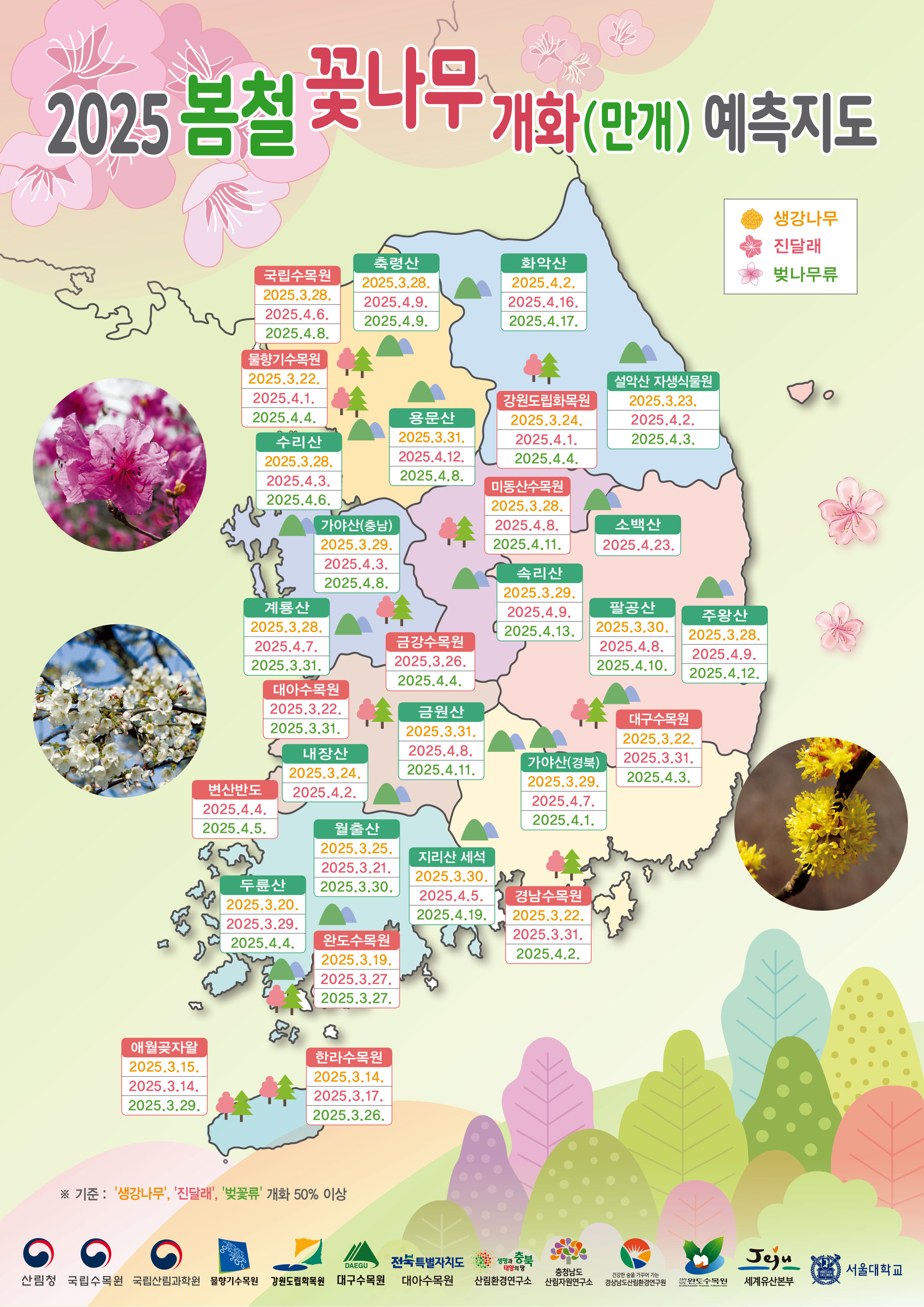 산림청, 2025년 봄철 꽃나무 개화 예측 발표… 개화 시기 지난해보다 다소 늦어질 전망 이미지1