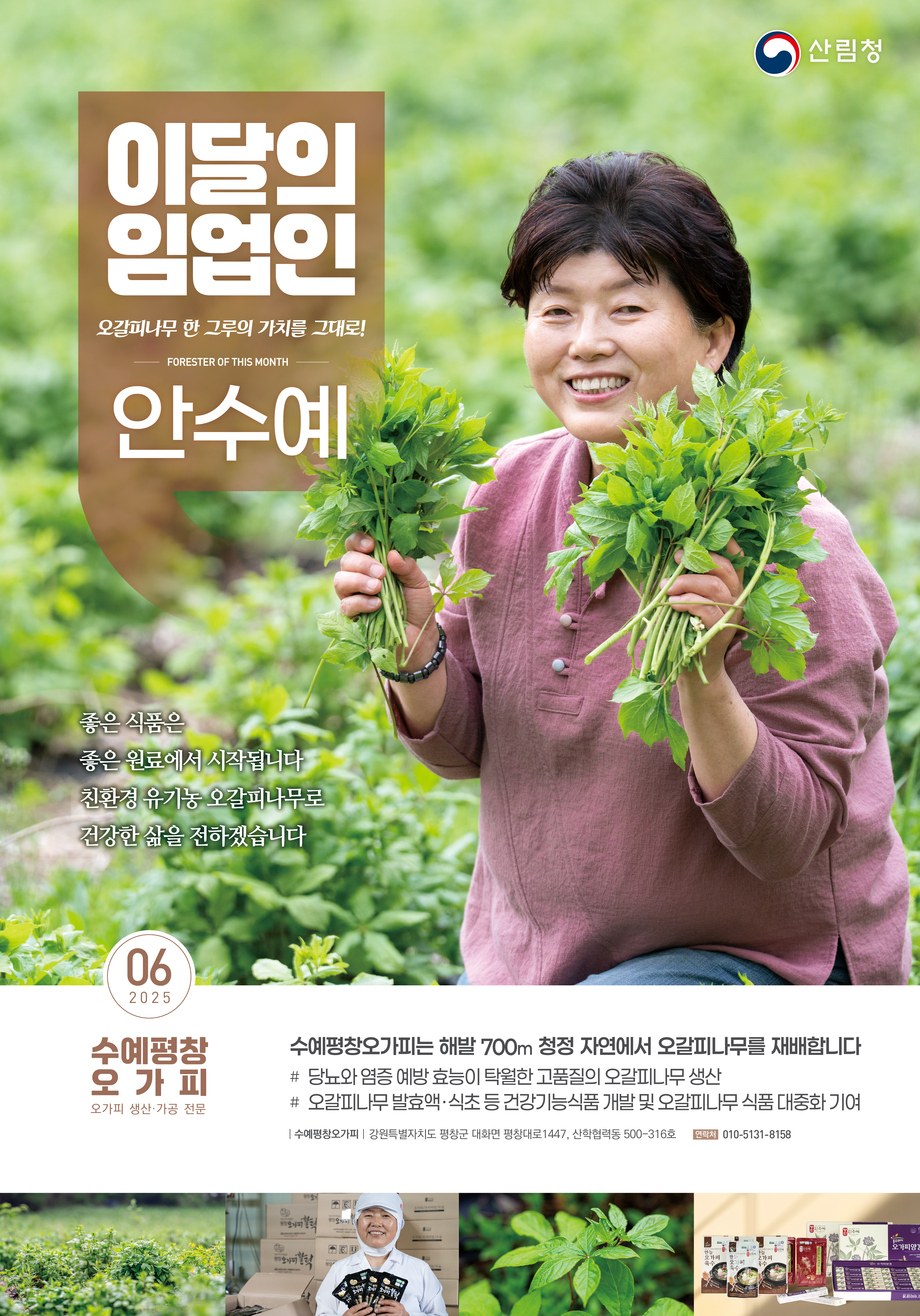 산림청, ‘6월의 임업인’에 강원 평창에서 오갈피나무를 재배하는 안수예 ...