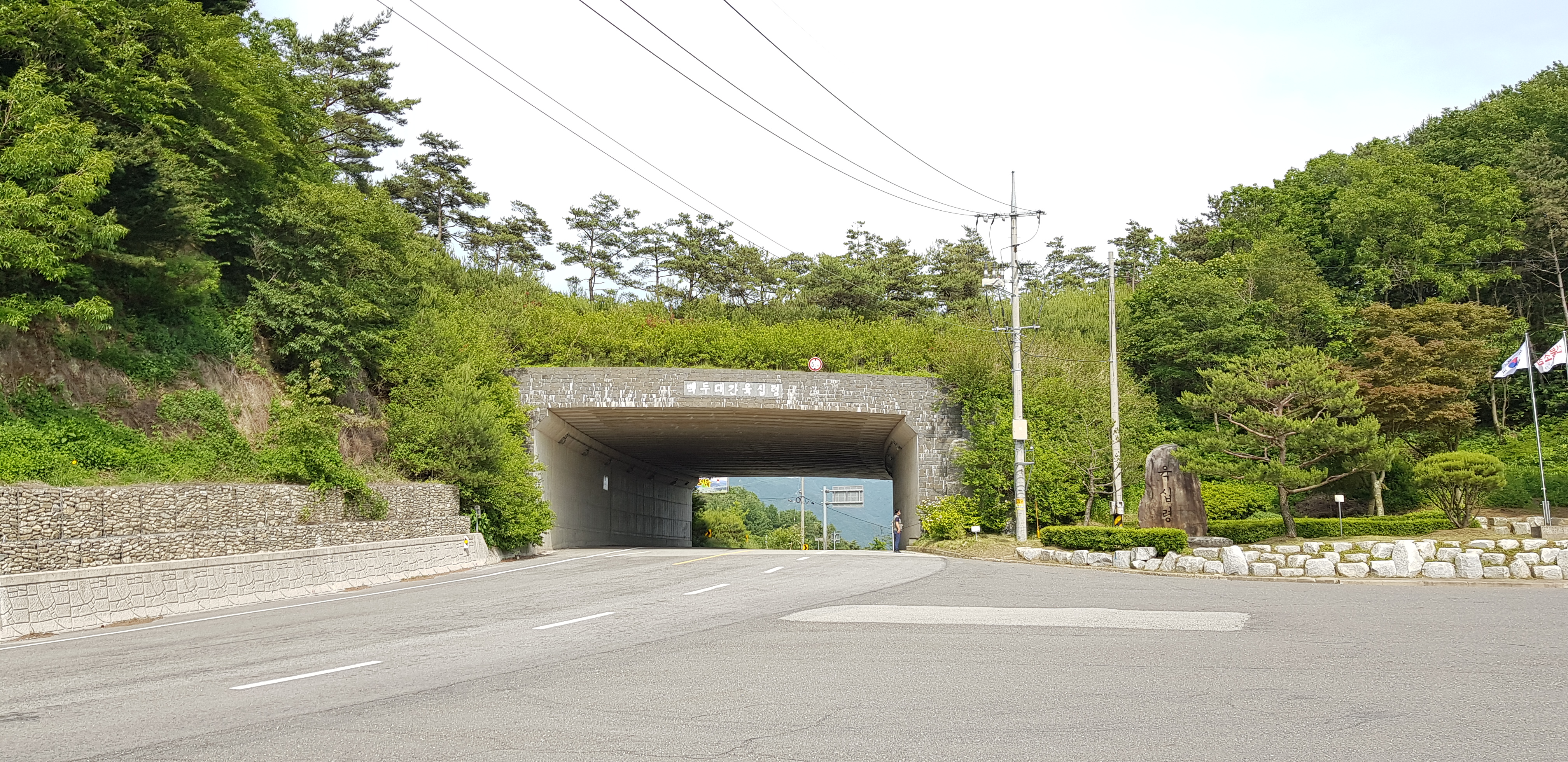 한반도 미래유산 백두대간 빈틈없이 연결하고 복원 실시!